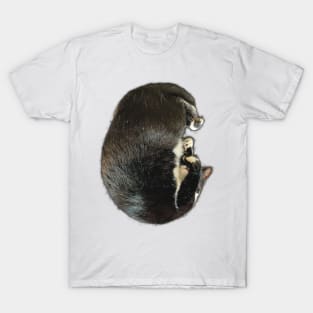 Sleepy Cuddle Cutie | Tuxedo Cat Photograph T-Shirt